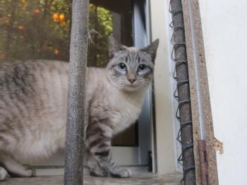 Amina Bild von Amina