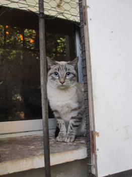 Amina Bild von Amina