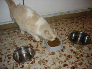 Averil Bild von Averil