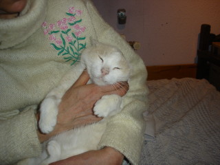 Averil Bild von Averil