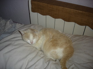 Averil Bild von Averil