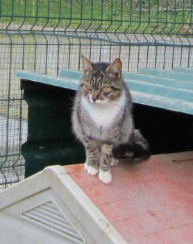 Manolo Bild von Manolo