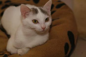 Rosi Bild von Rosi