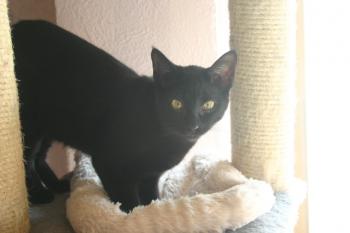 Lucia Bild von Lucia