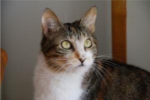 Arizona Baby Bild von Arizona Baby