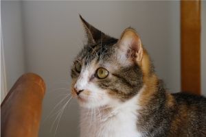 Arizona Baby Bild von Arizona Baby