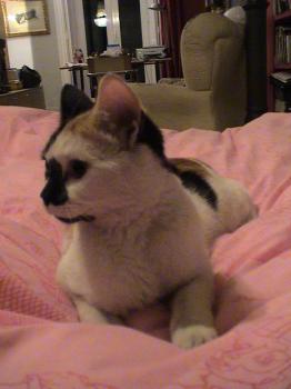 Rosita Bild von Rosita