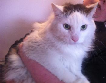 Buddy Bild von Buddy