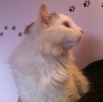 Buddy Bild von Buddy