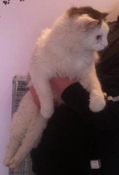 Buddy Bild von Buddy