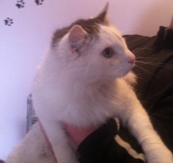 Buddy Bild von Buddy