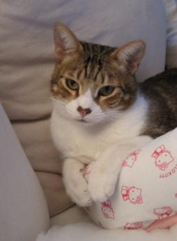 Hansel Bild von Hansel