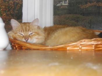 Bild von Micho