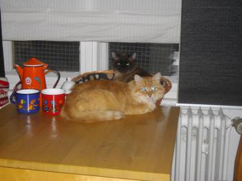 Bild von Micho
