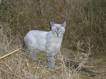 Bild von Boni
