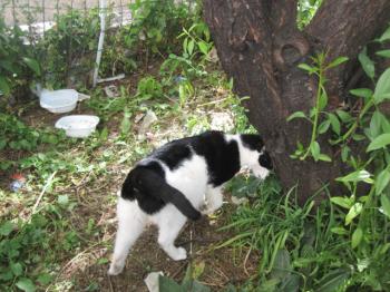 Ohne Namen 4783 Bild von Sayuri