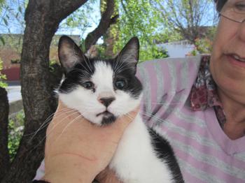 Ohne Namen 4783 Bild von Sayuri