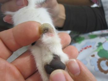 Ohne Namen 4783 Bild von Sayuri