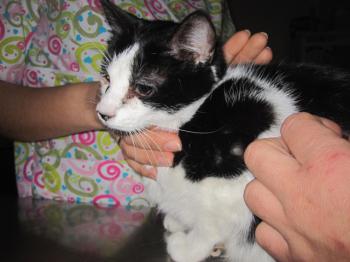 Ohne Namen 4783 Bild von Sayuri