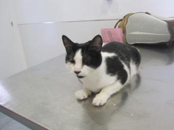 Ohne Namen 4783 Bild von Sayuri