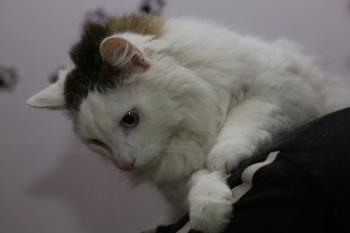 Buddy Bild von Buddy