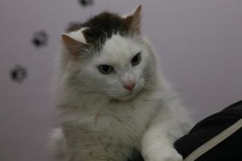 Buddy Bild von Buddy