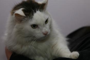 Buddy Bild von Buddy