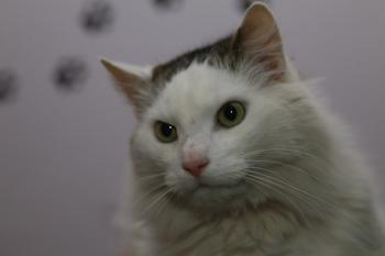 Buddy Bild von Buddy