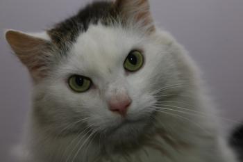 Buddy Bild von Buddy