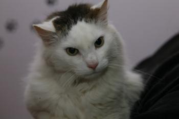 Buddy Bild von Buddy