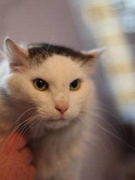 Buddy Bild von Buddy