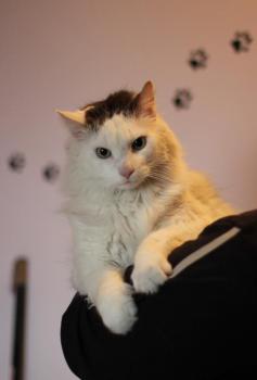 Buddy Bild von Buddy