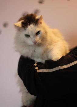 Buddy Bild von Buddy