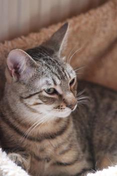 Wyatt Bild von Wyatt