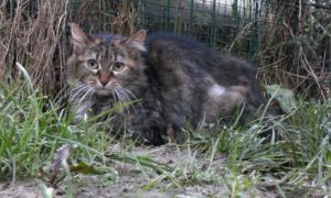 Bild von Natalie