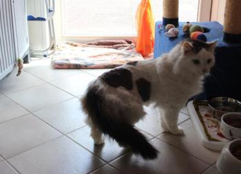 Buddy Bild von Buddy