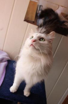 Buddy Bild von Buddy