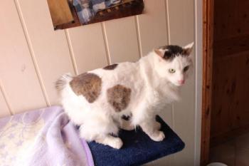 Buddy Bild von Buddy