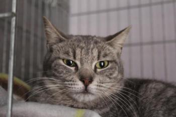Rafaela Bild von Rafaela