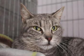 Rafaela Bild von Rafaela