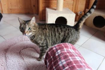 Rasty Bild von Rasty