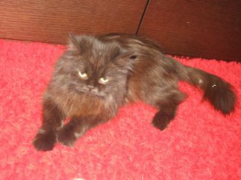 Abi Bild von Abi