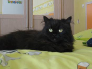 Abi Bild von Abi