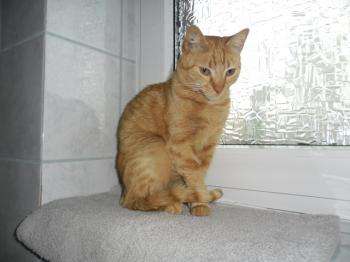 Samuel Bild von Samuel