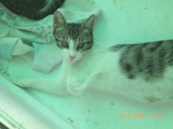 Irina Bild von Irina