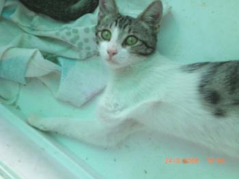 Irina Bild von Irina