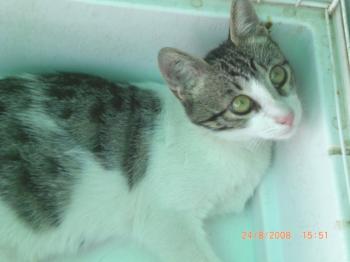 Irina Bild von Irina