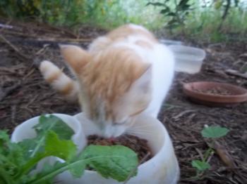 Luci Bild von Lucy