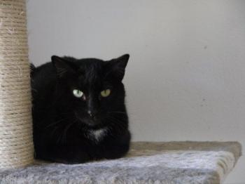 Sally Bild von Sally