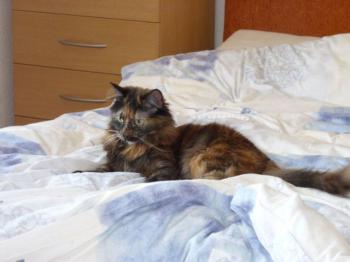 Minnie Bild von Minnie